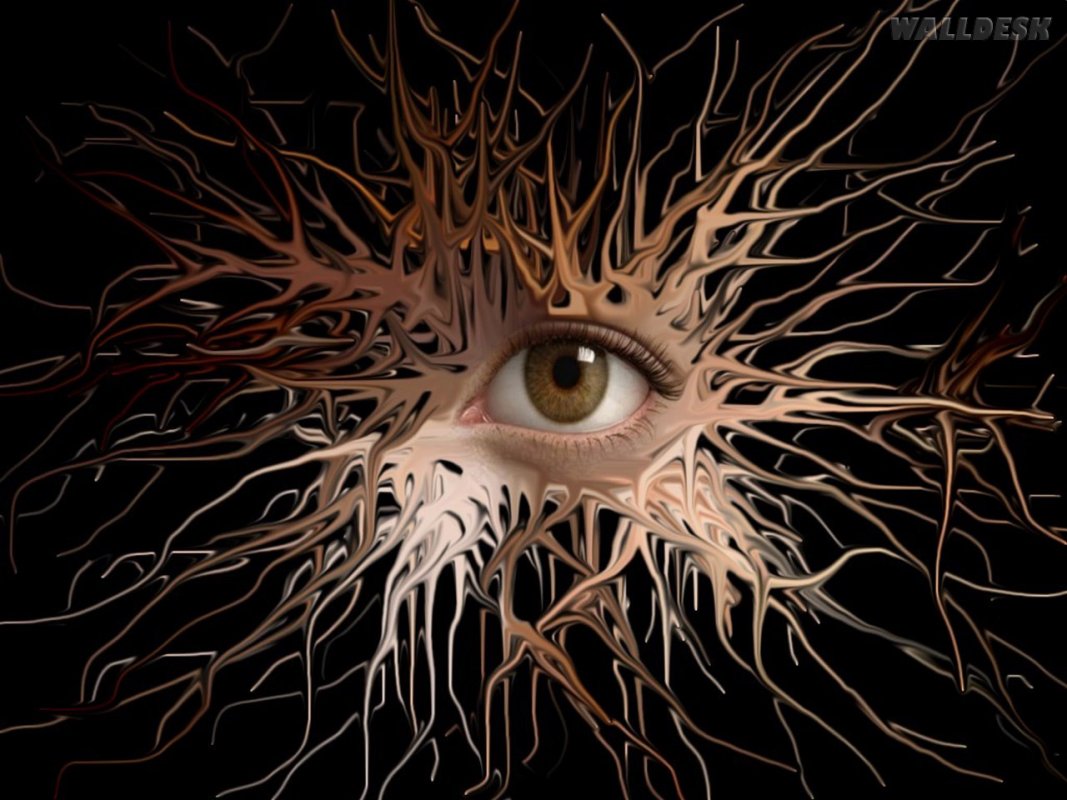 Мозг с глазами и нервной системой